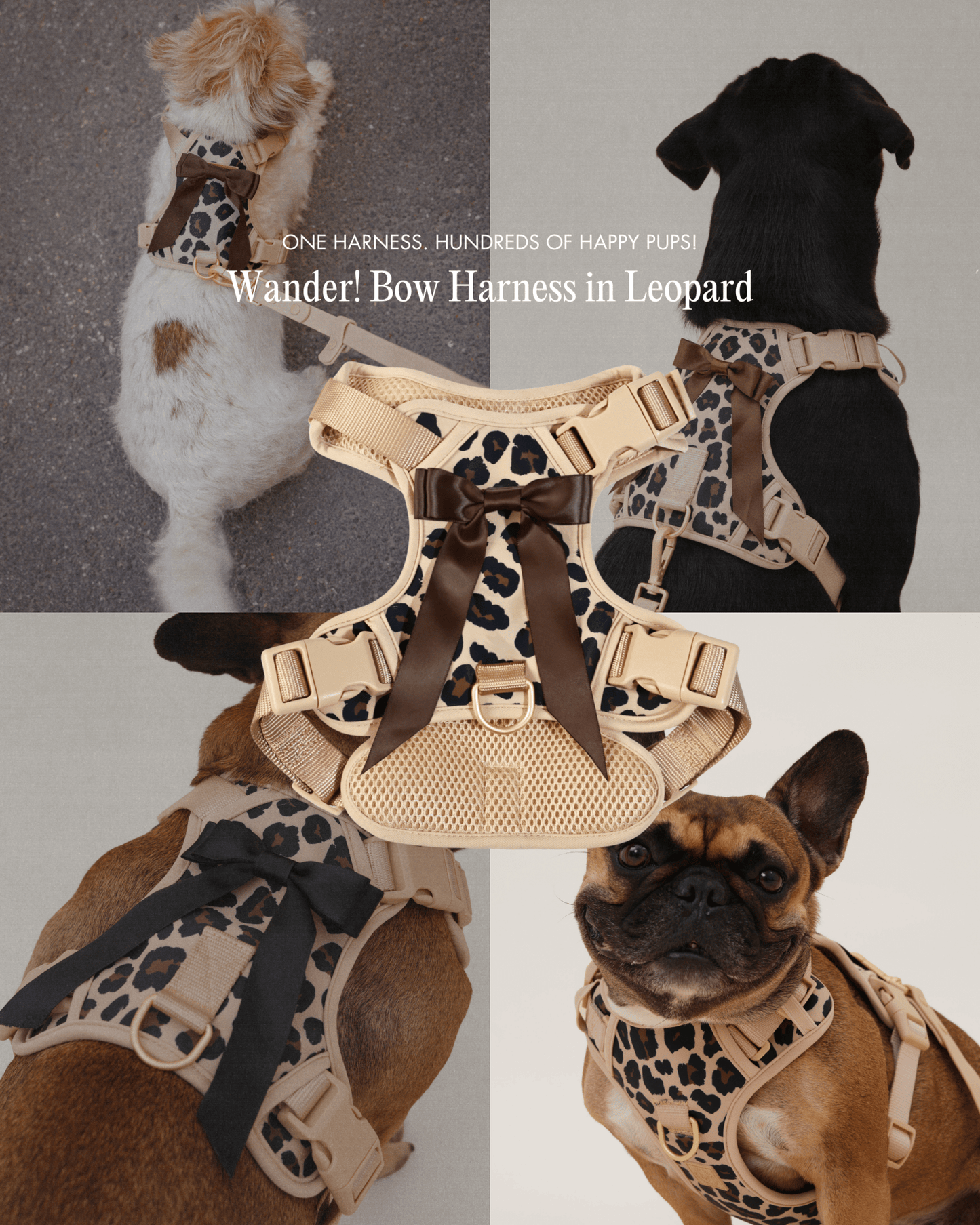 Wander! Bow Harness 2.0 - Leopard