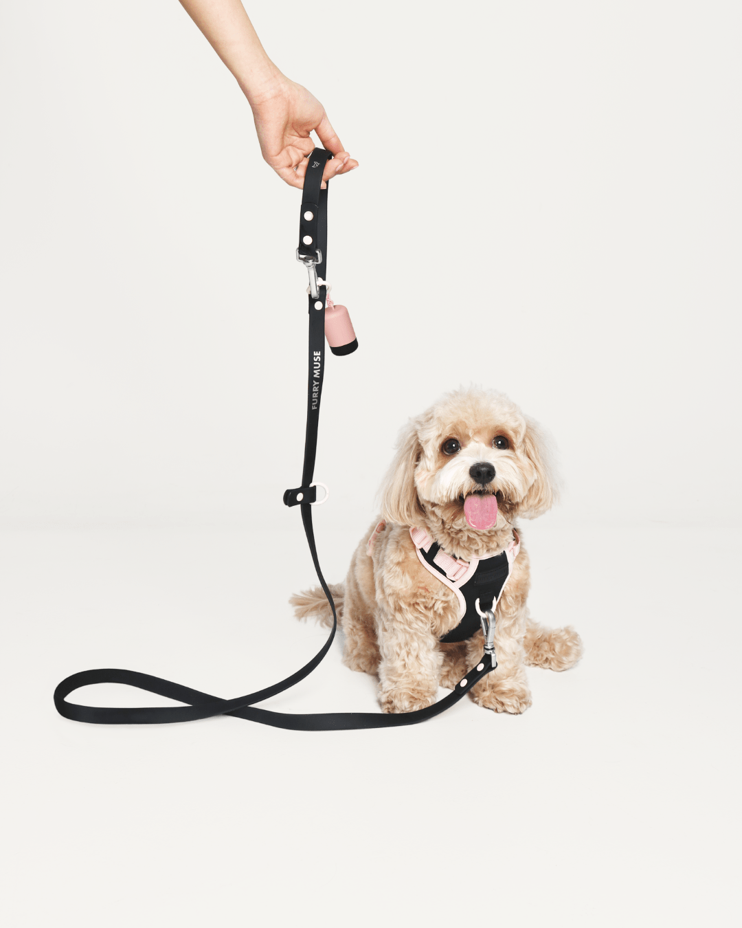 Wander! Multiway Leash & Poop Pouch Ballerina